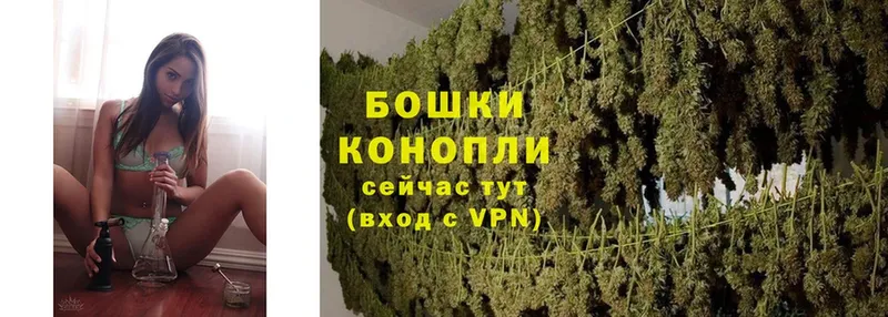 Бошки Шишки SATIVA & INDICA  где купить наркоту  Лабытнанги 